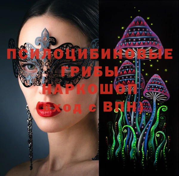 соль ск Алексеевка