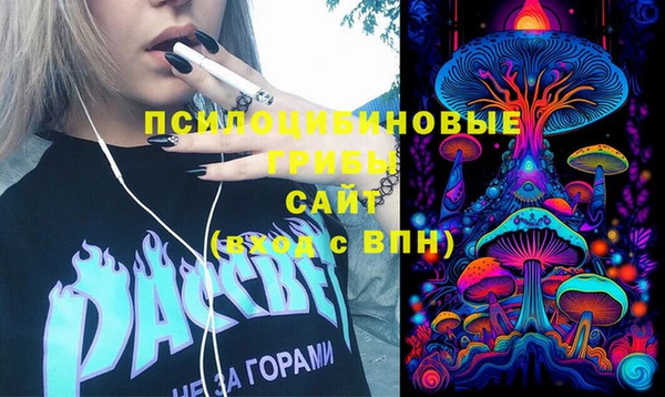 соль ск Алексеевка